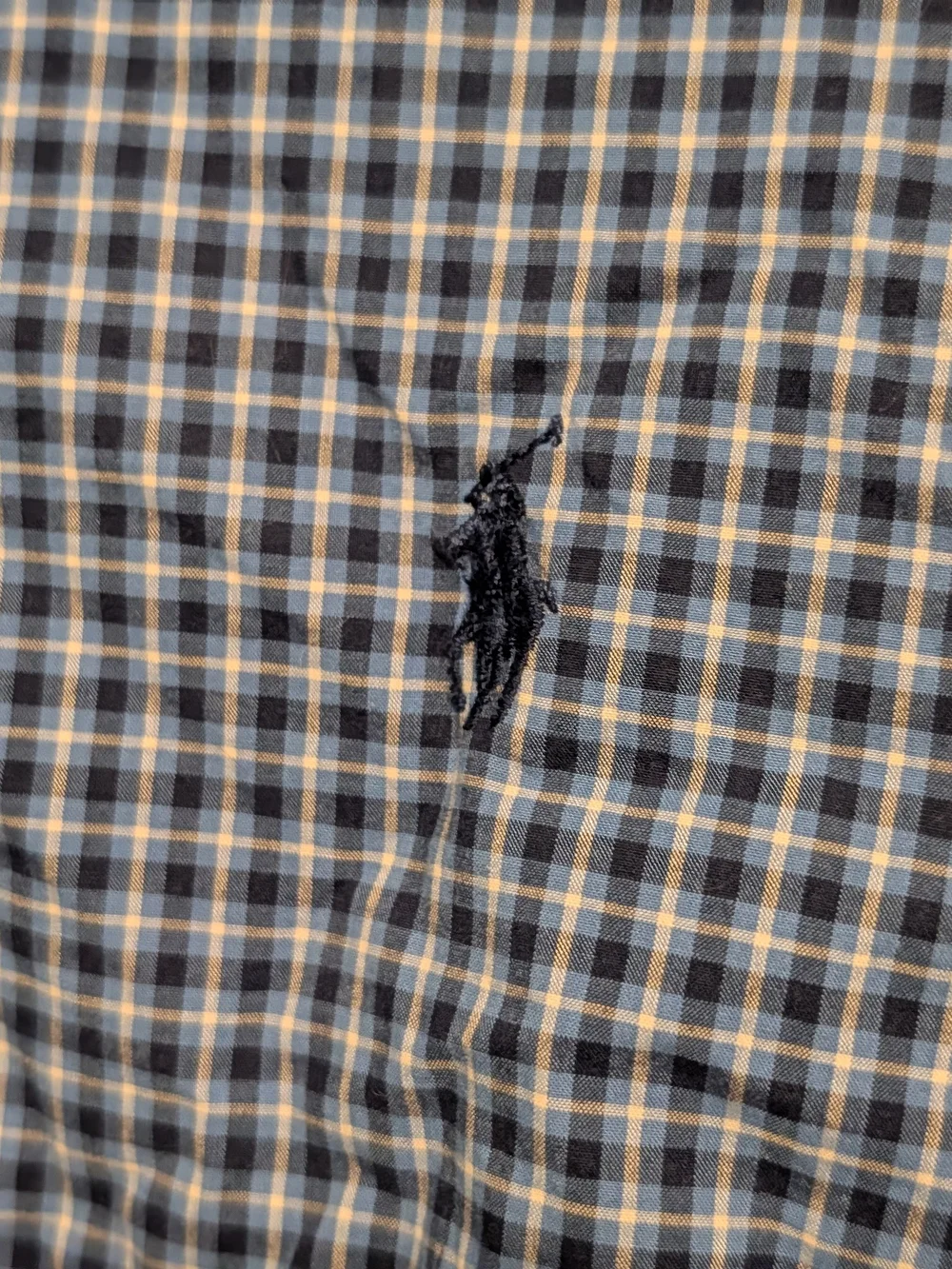 Polo by Ralph Lauren Blue Gingham Button-Down Shirt